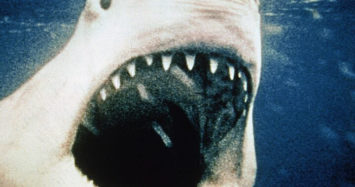 You’re Going to Need a Bigger Blockbuster News